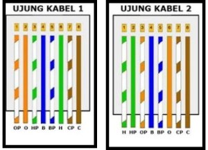 kabel Cross 